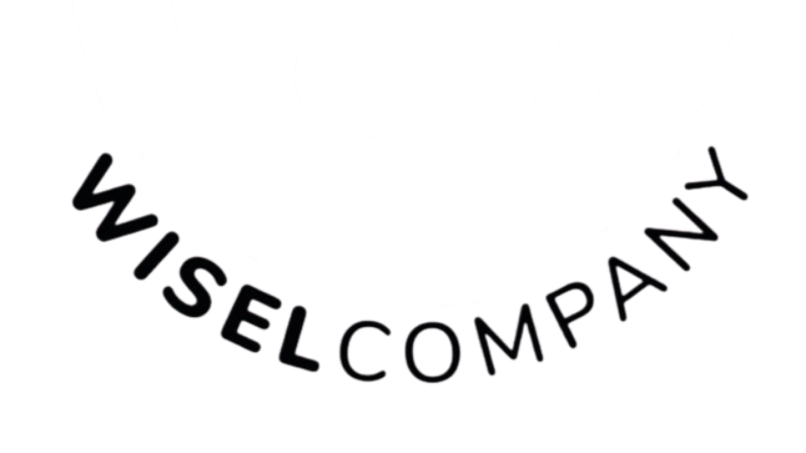 Wisel Company