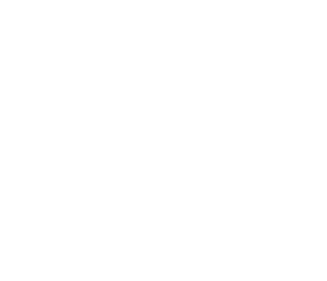 Wisel Company