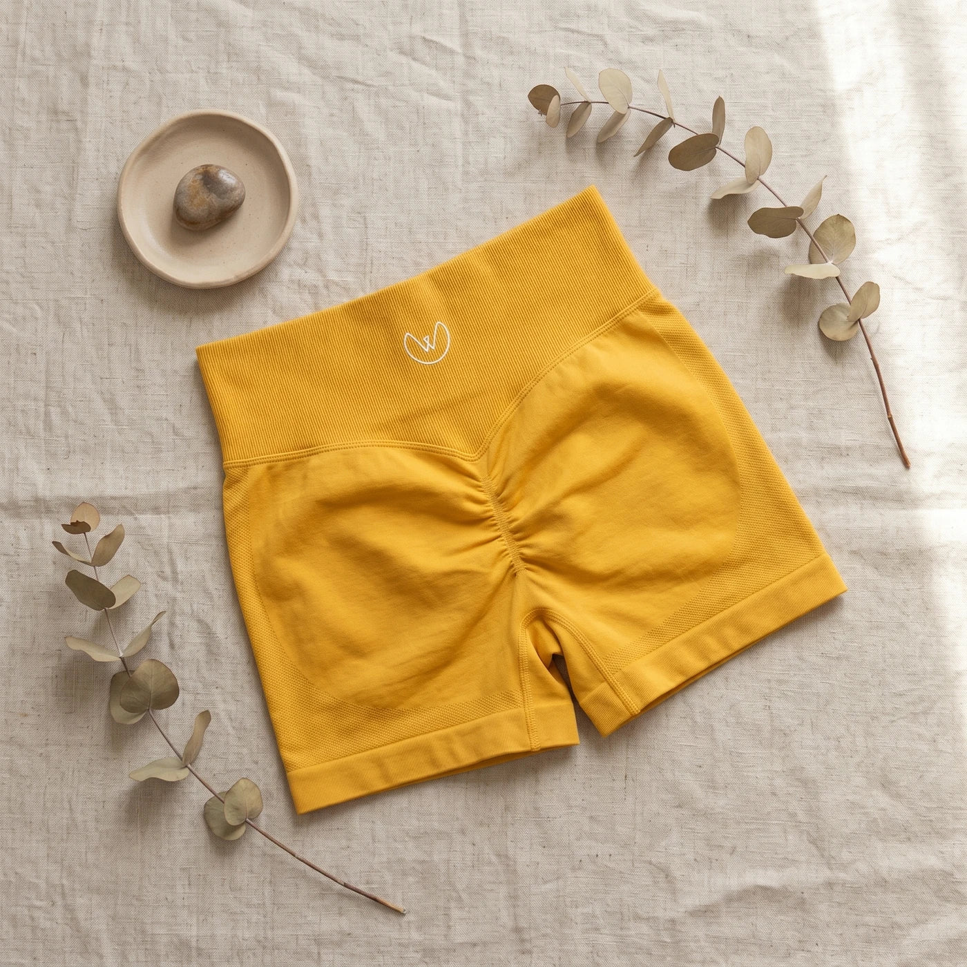 Comunidad Wisel con el Short Wisel