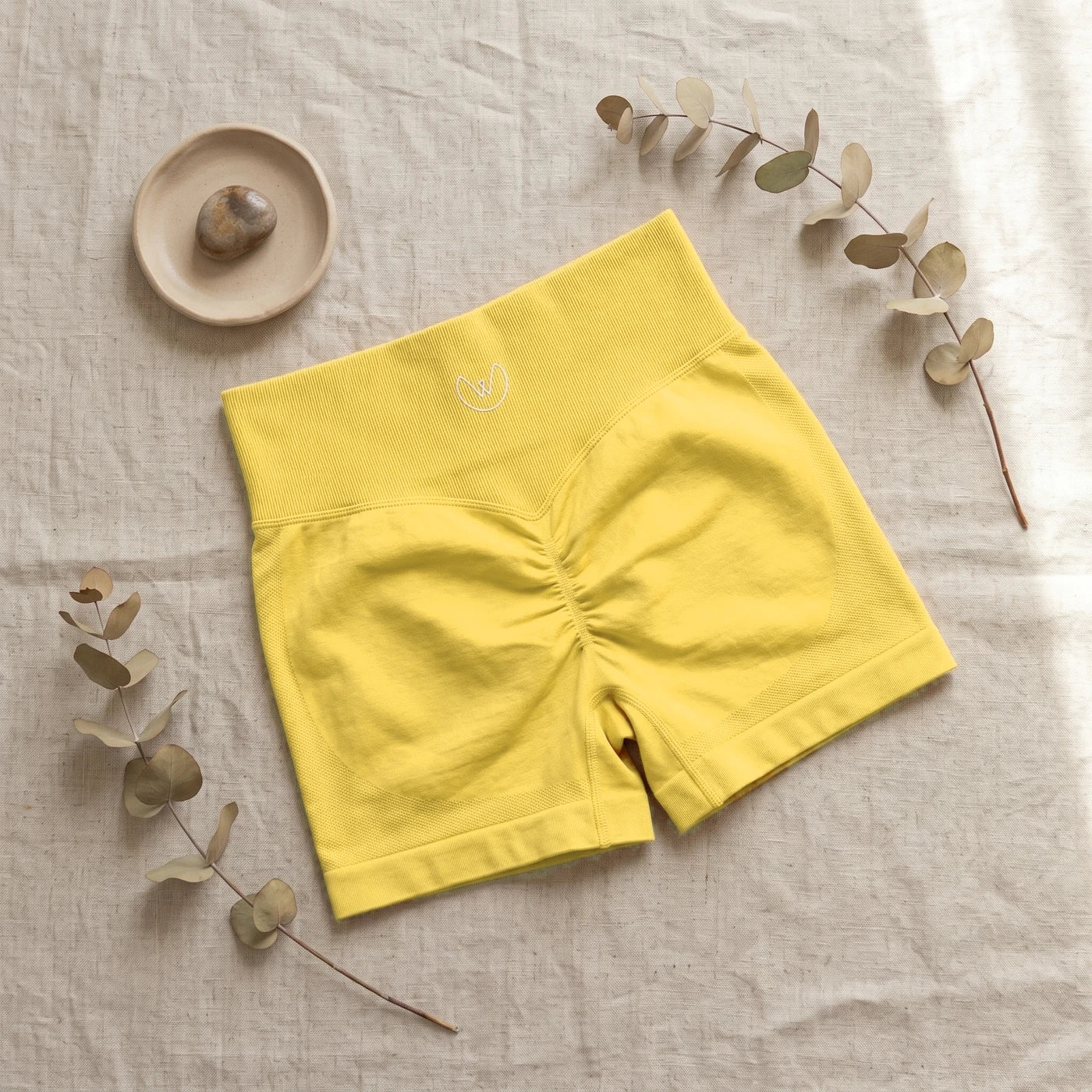 Comunidad WiselCompany con el Short WiselCompany